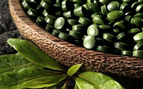 Chlorella BIO w tabletkach