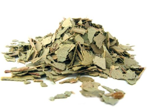 Eukaliptus liść (100g)