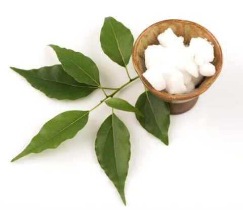 KAMFORA naturalna! | Kadzidło (50g)