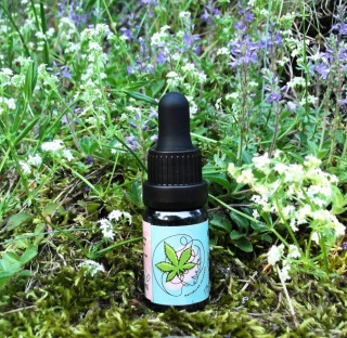 Olejek CBD 25% - Ekologiczny Ekstrakt Konopny (10ml)