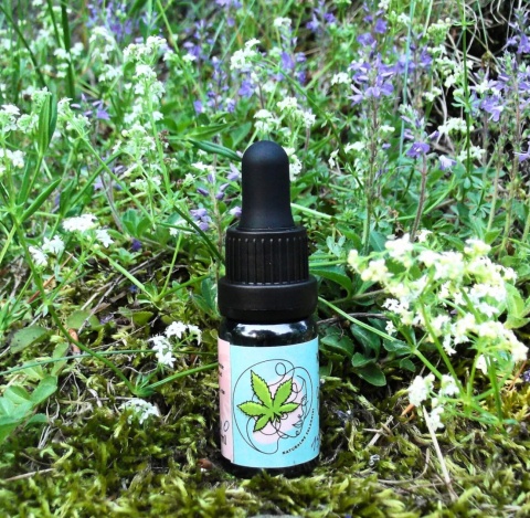 Olejek CBD 25% - Ekologiczny Ekstrakt Konopny (10ml)