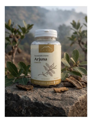 Arjuna Cardio | Ekstrakt z Kory 500 mg (100 kapsułek)
