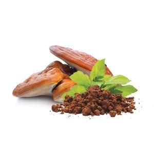 Grzyby Witalne Bio MEGA MIX | Reishi, Cordyceps, Chaga, Soplówka MIELONE